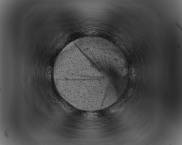 X0000096950664200802291058