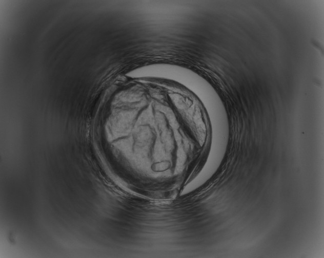 X0000096950665200802291058