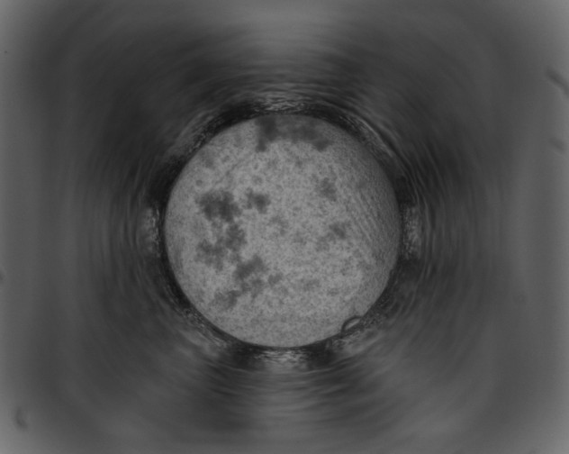 X0000096950667200802291058