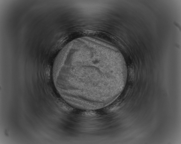 X0000096950668200802291058