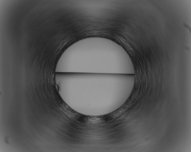 X0000096950669200802291058