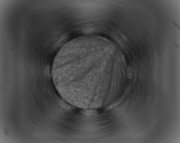 X0000096950670200802291058