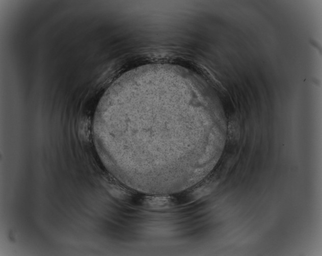 X0000096950671200802291058