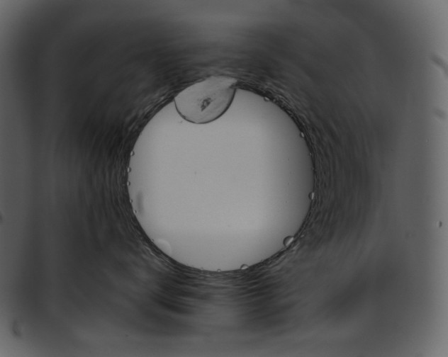 X0000096950672200802291058