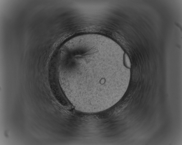 X0000096950673200802291057