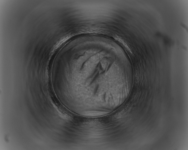 X0000096950674200802291057