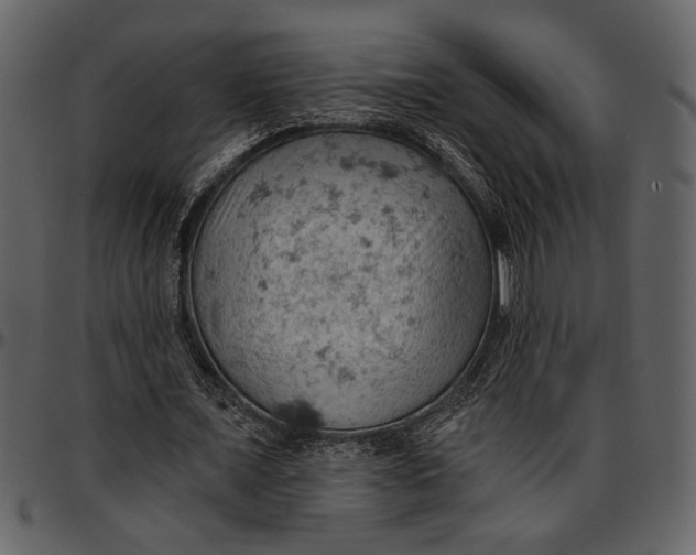 X0000096950675200802291057