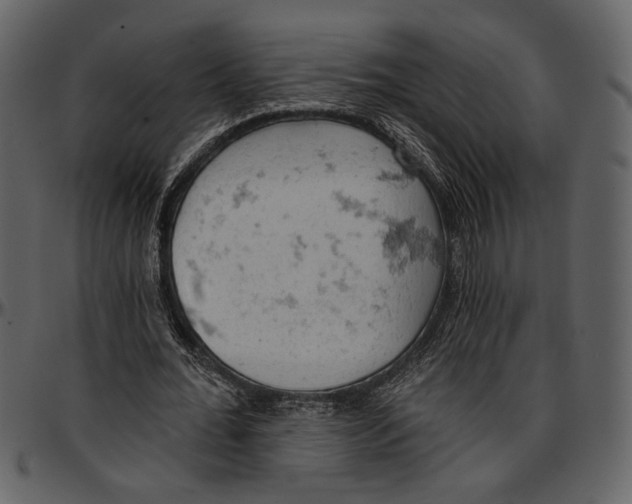 X0000096950676200802291057