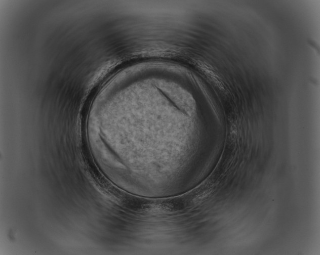 X0000096950678200802291057