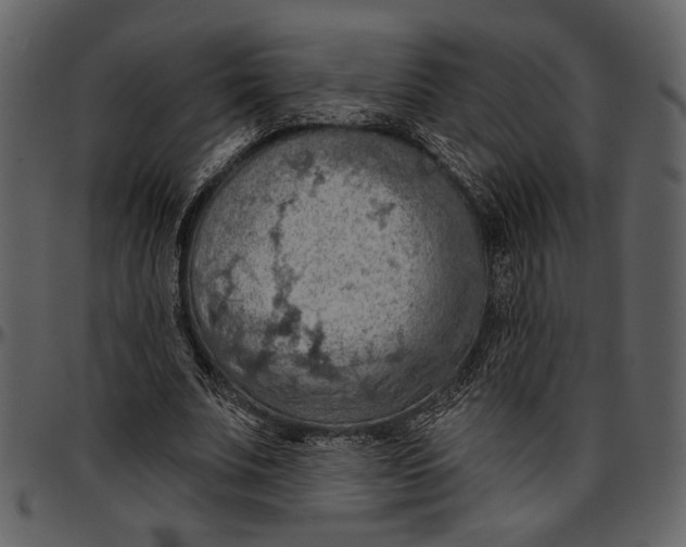 X0000096950679200802291057