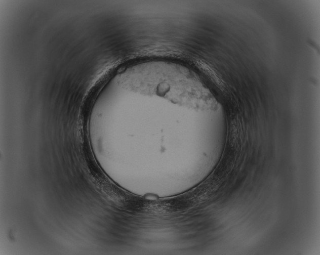 X0000096950680200802291057