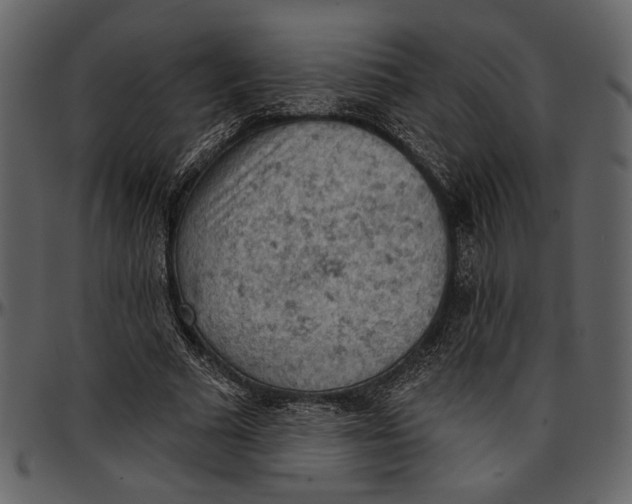 X0000096950681200802291057