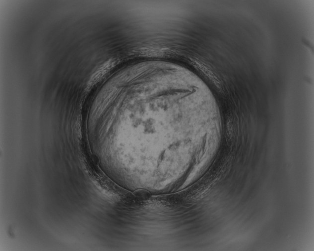 X0000096950682200802291057