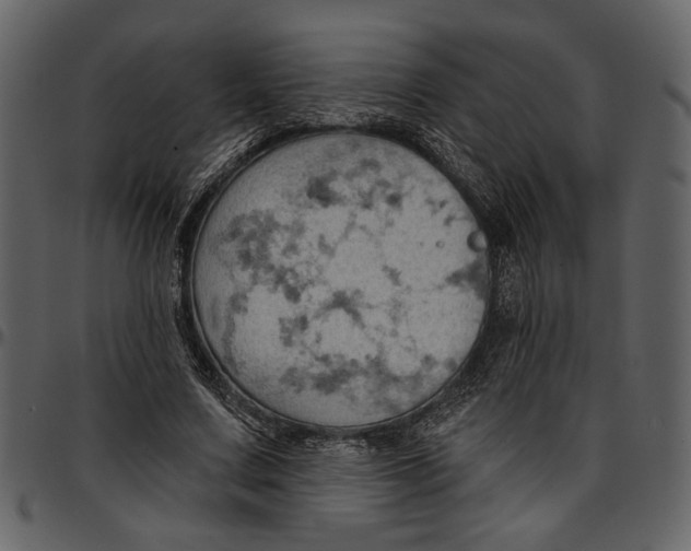 X0000096950683200802291057