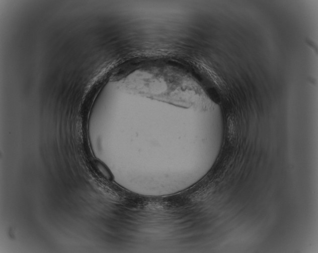 X0000096950684200802291057