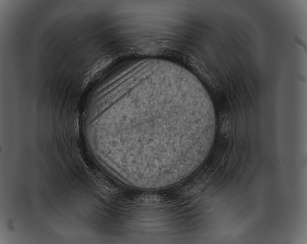 X0000096950685200802291057