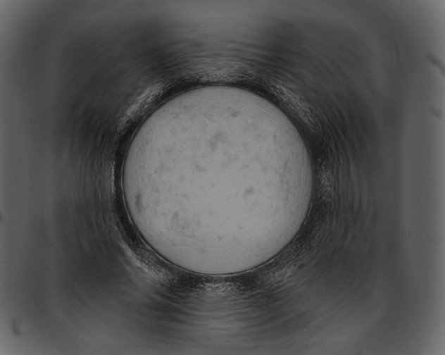 X0000096950686200802291057