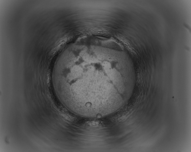 X0000096950687200802291057