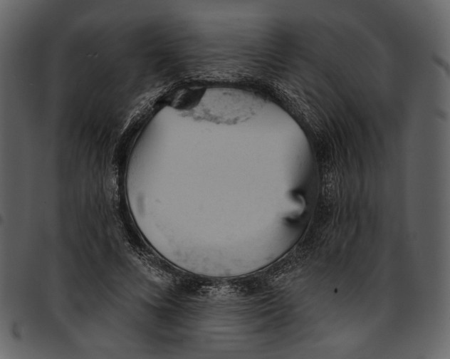 X0000096950688200802291057