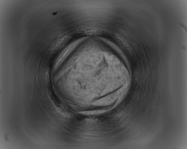 X0000096950690200802291057