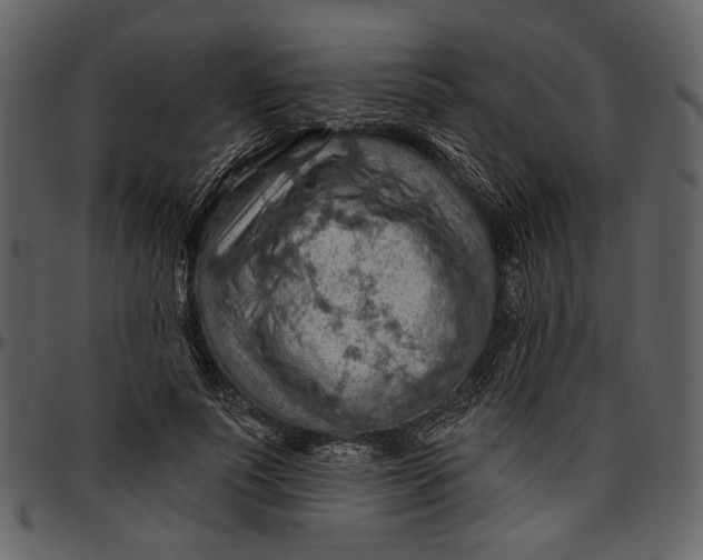 X0000096950691200802291057