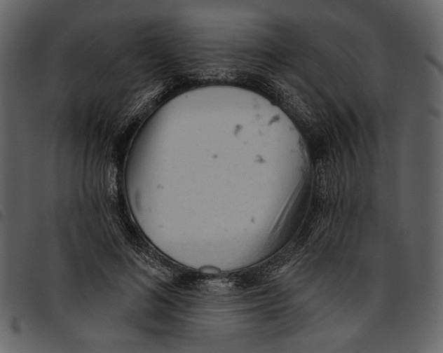 X0000096950692200802291057