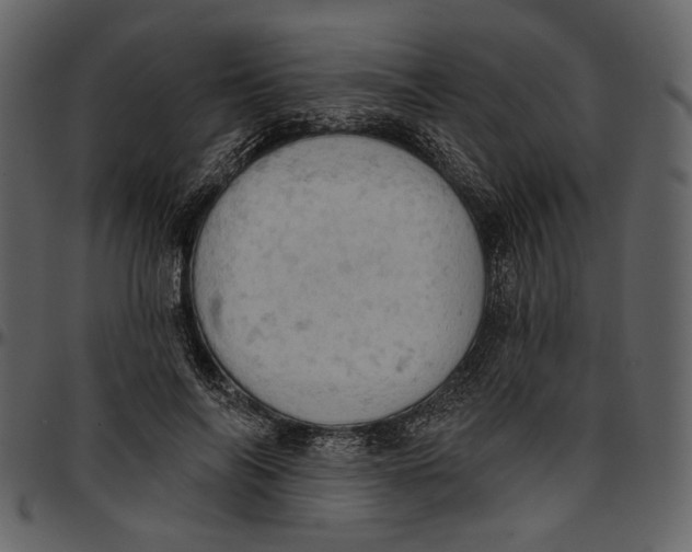 X0000096950694200802291057