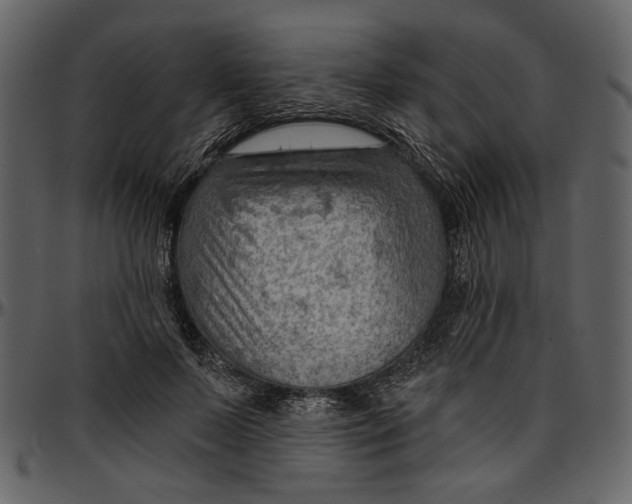 X0000096950695200802291057