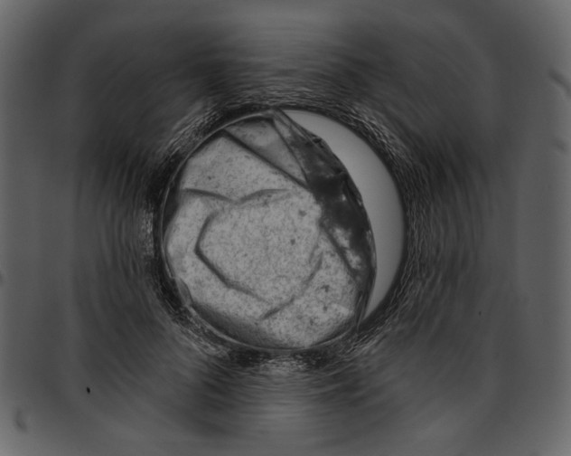 X0000096950696200802291057