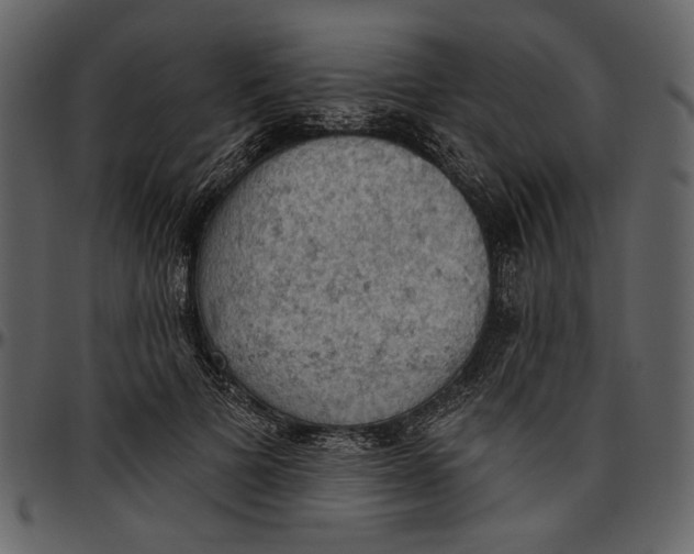 X0000096950697200802291057