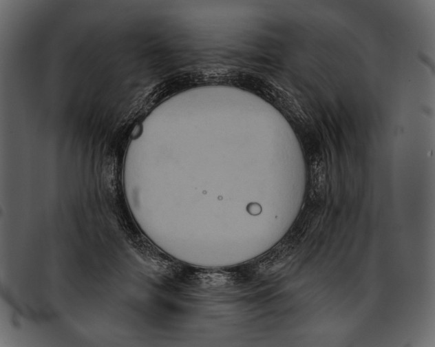 X0000096950698200802291057