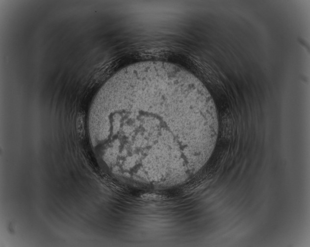 X0000096950699200802291056