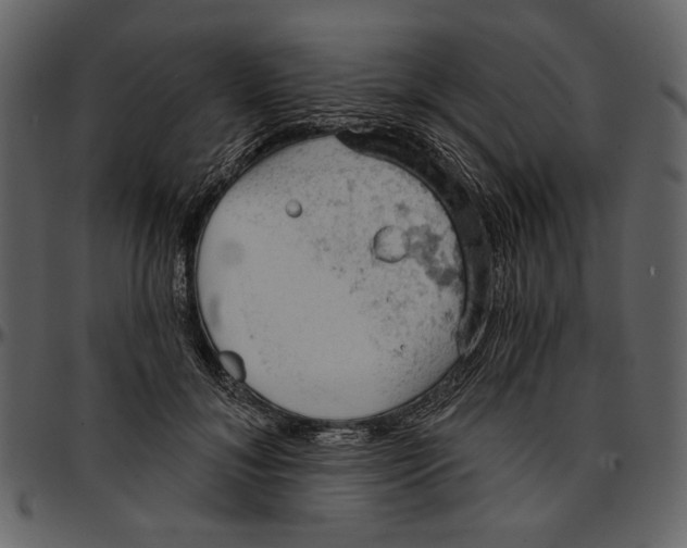 X0000096950700200802291056