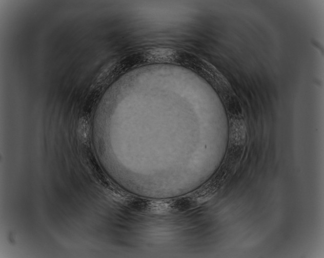 X0000096950701200802291056