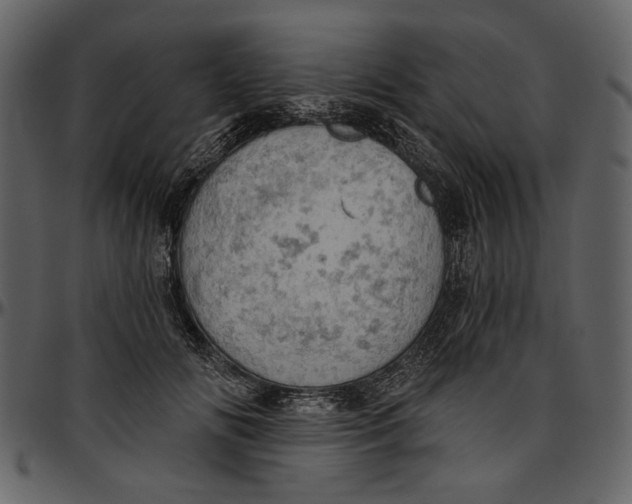 X0000096950702200802291056