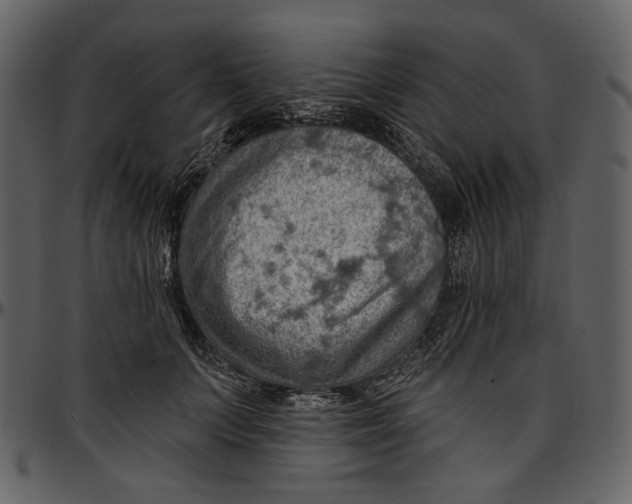 X0000096950703200802291056