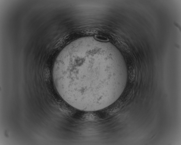 X0000096950704200802291056