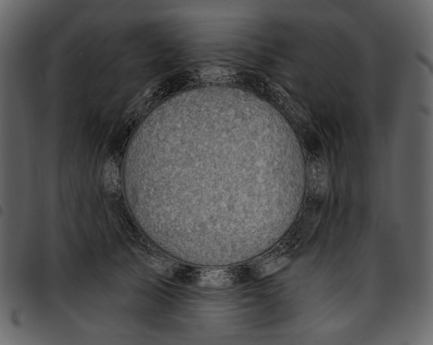 X0000096950705200802291056