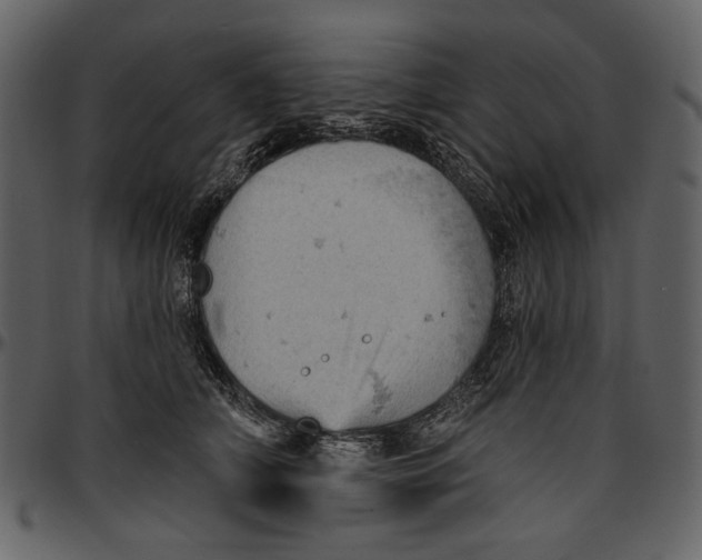 X0000096950706200802291056