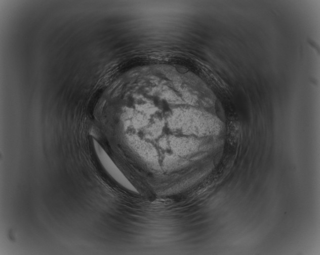 X0000096950707200802291056