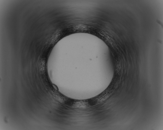 X0000096950708200802291056