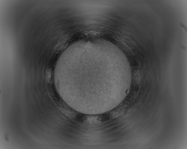 X0000096950709200802291056