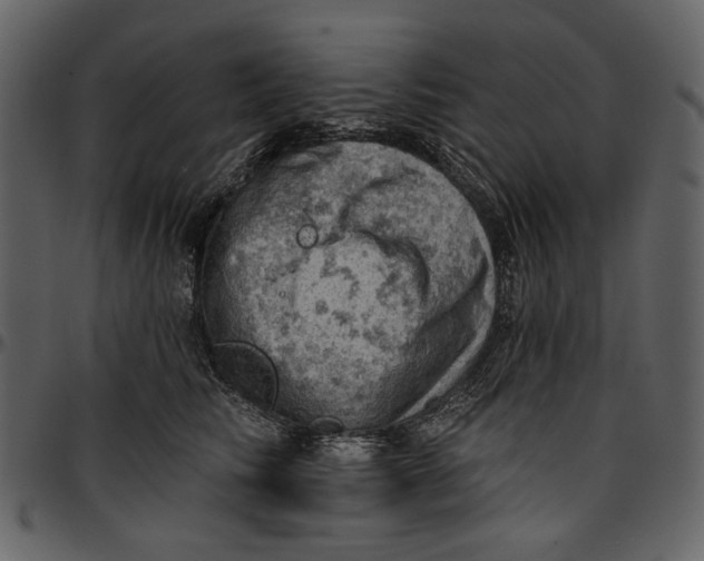 X0000096950710200802291056