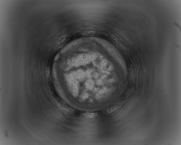 X0000096950711200802291056