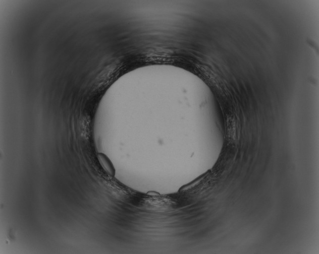 X0000096950712200802291056