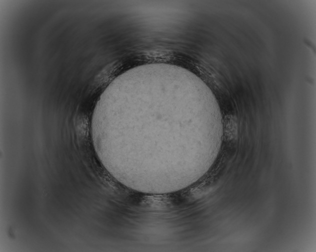 X0000096950713200802291056