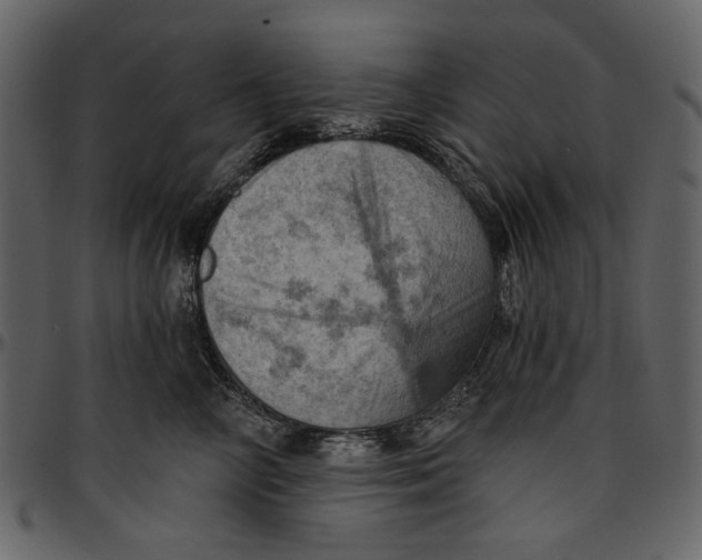 X0000096950714200802291056