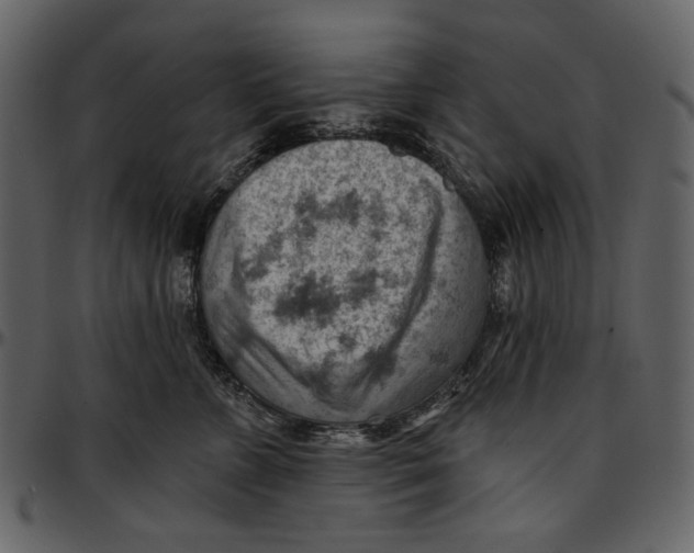 X0000096950715200802291056