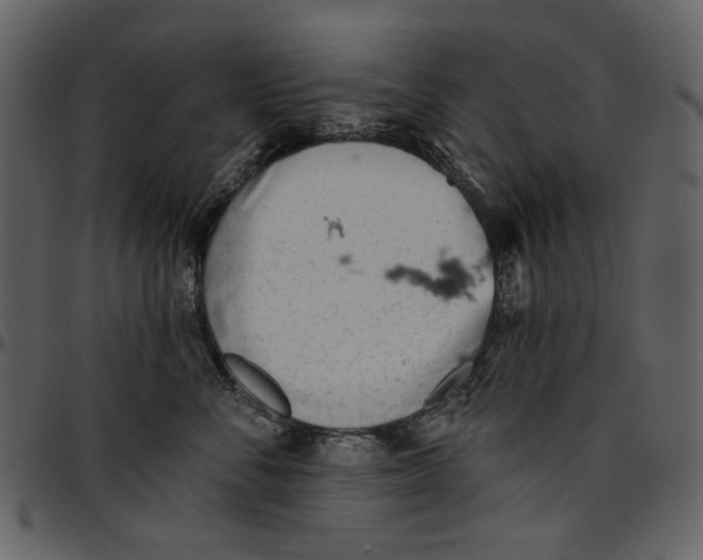 X0000096950716200802291056