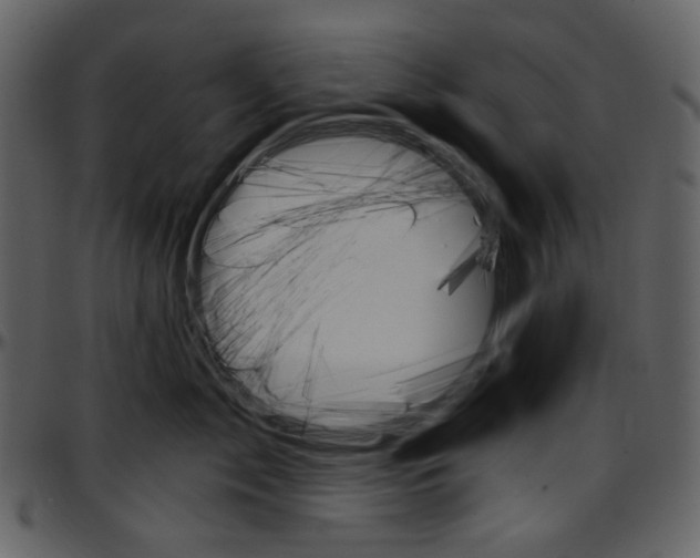 X0000096950717200802291056